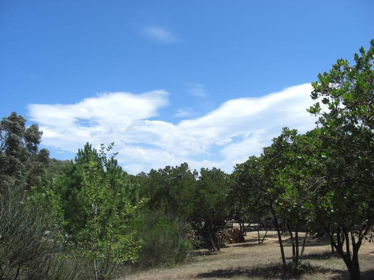 Camping California Pinarellu  Exterior photo